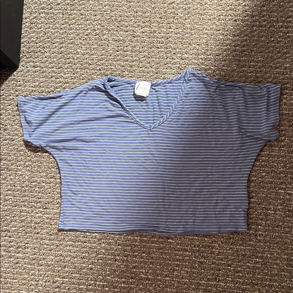 Livi Active Blue Striped Crop Top
